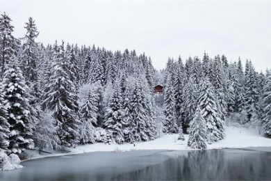 岳阳龙潭湖景区介绍