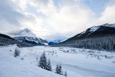 南山南北桥北是什么歌， 南山南 北海北歌词
